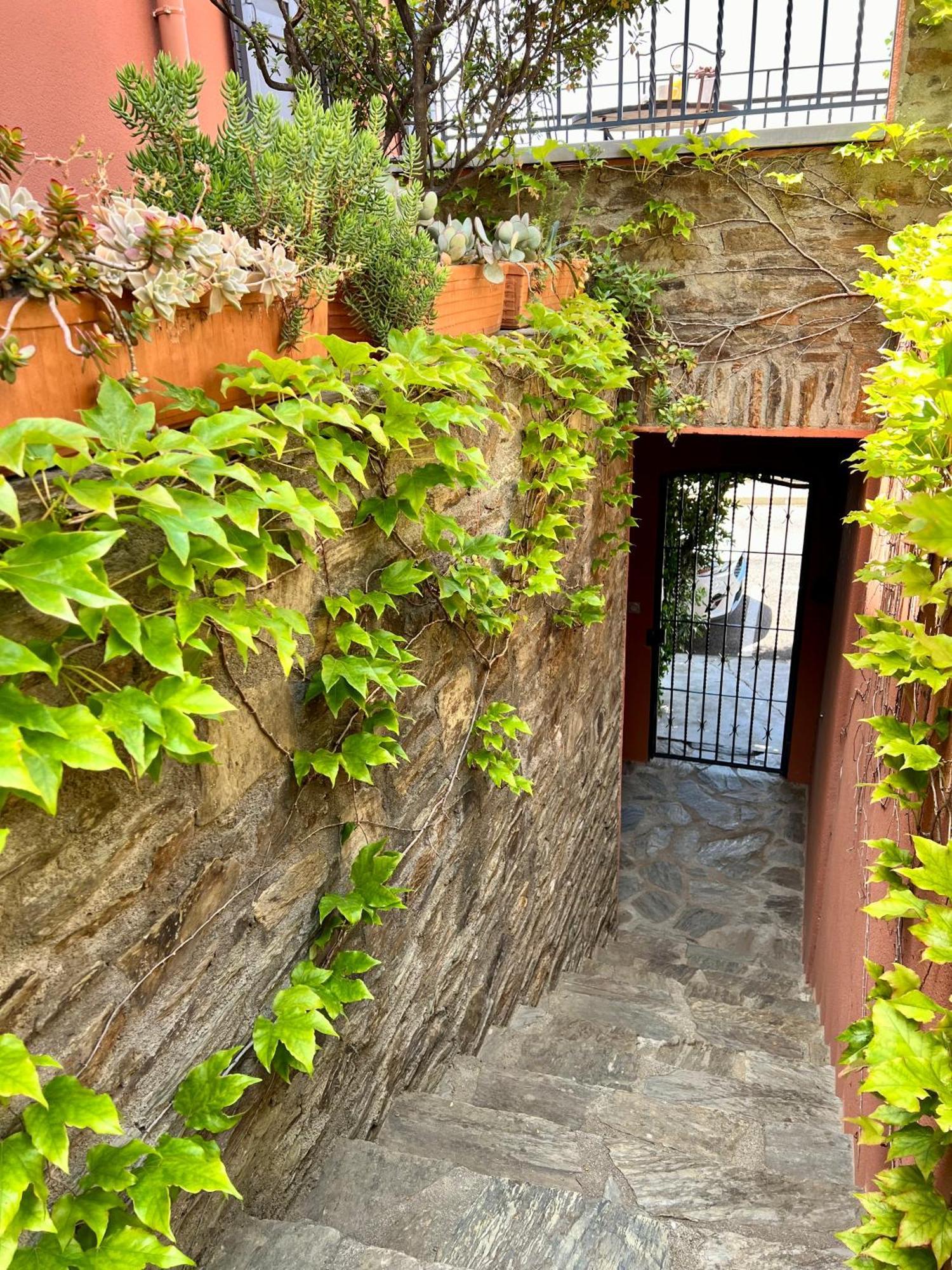 Canta La Mar - Vue Exceptionnelle Appartement Collioure